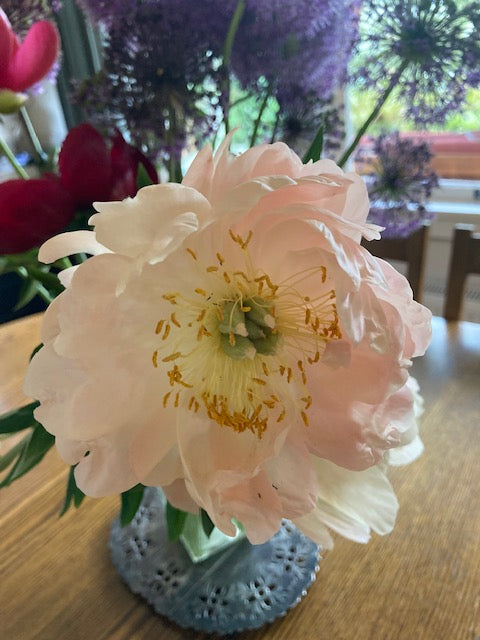 Cut Flower Bunches June 2025