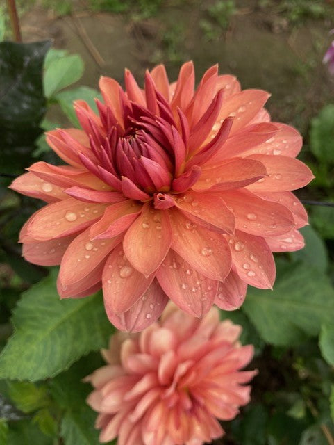 Chateau De La Bourdaisiere